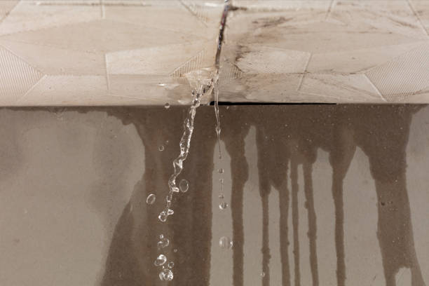 Professional Sewage Cleanup technician working in Wayland, MA